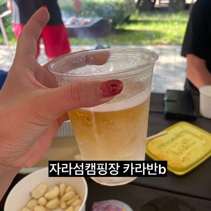 자라섬캠핑장 자라섬캠핑장카라반 자라섬캠핑장카라반b