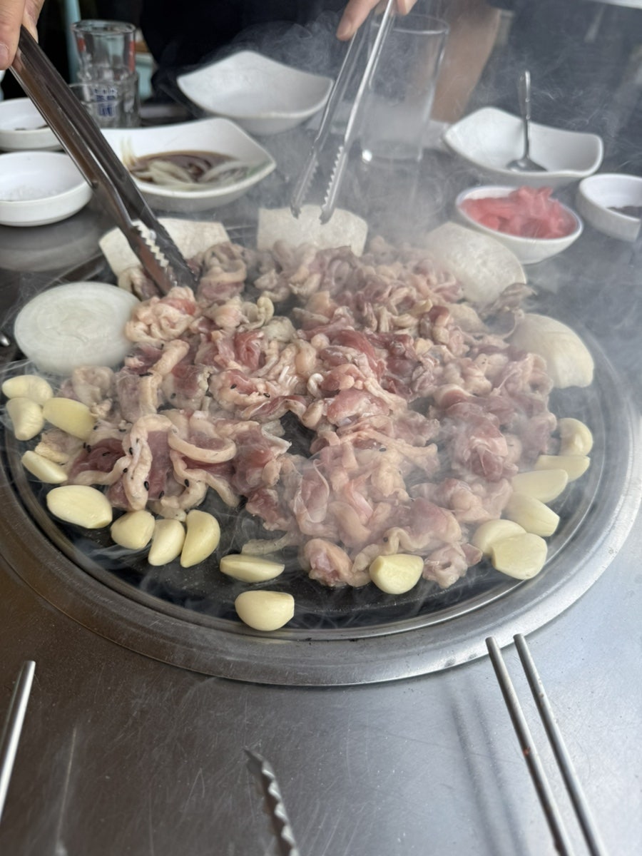 토담바다장어 사진 6