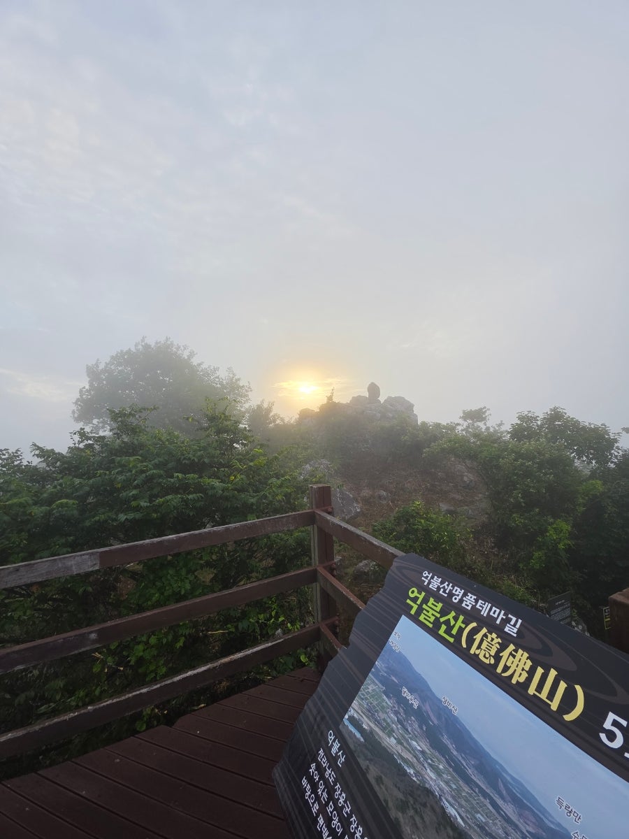 억불산 사진 5