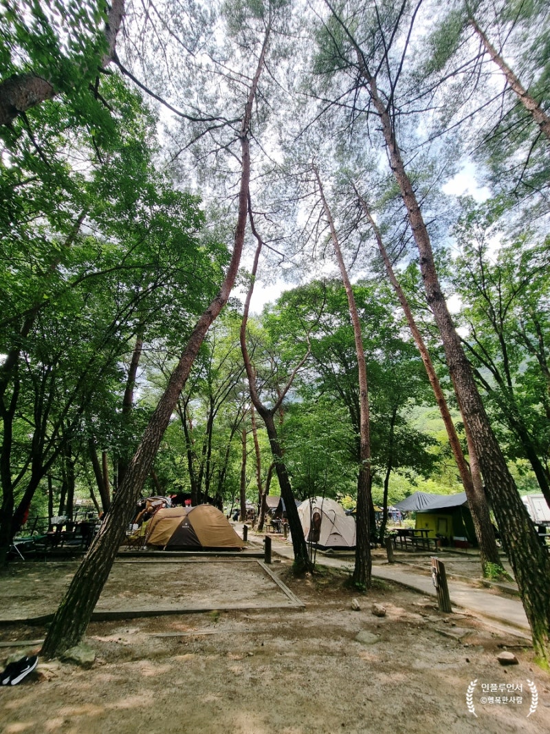 월악산 국립공원 닷돈재 자동차야영장, 송계계곡이 있는 여름 휴가지 캠핑장 추천