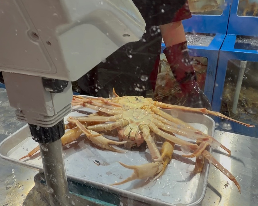 솔향대게 사진 5