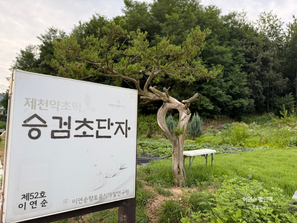 이연순명인떡 사진 3