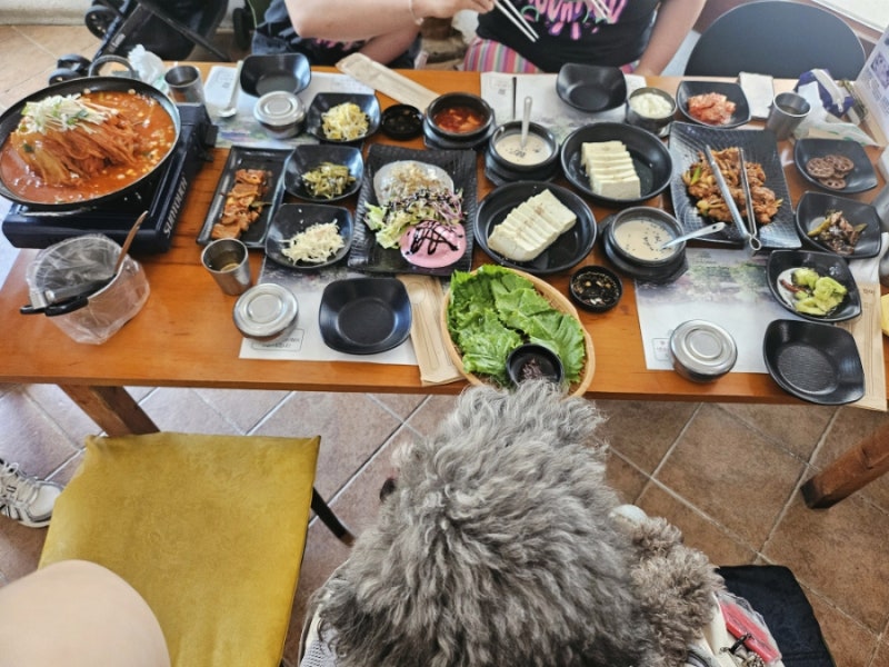 양평 애견동반 맛집 연꽃언덕 리버뷰와 정원이 아름다운 손두부 맛집