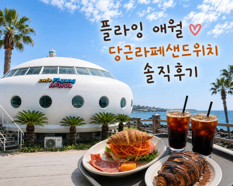 플라잉애월 사진 1