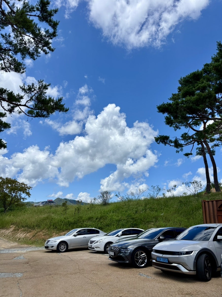 솔밭묵집 사진 6