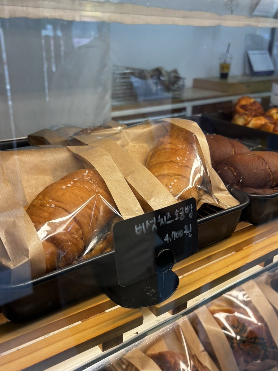 오브 사진 3