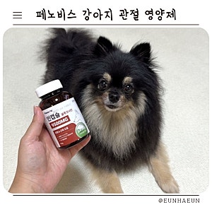 강아지 관절 영양제 노령견 고관절 슬개골 관리 페노비스 인캡슐 글루코사민