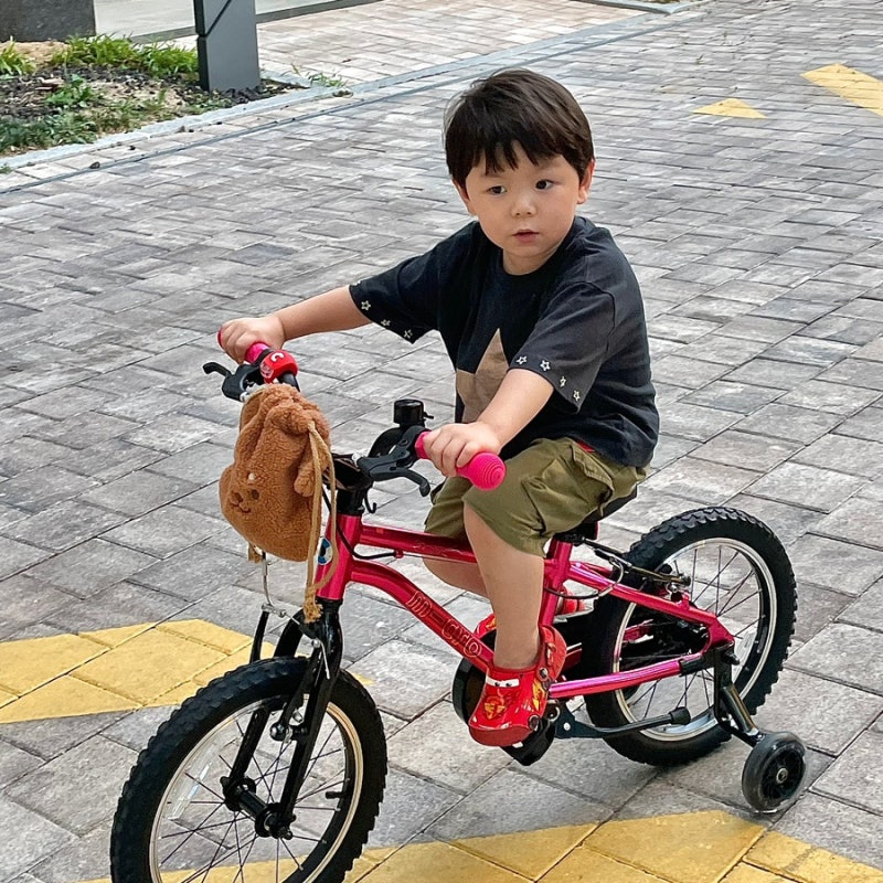 5살남아 유아자전거 마이크로바이크 16인치 라즈베리 구매 후기