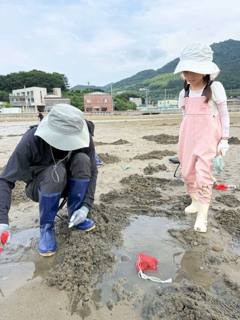 거제 매미성 갯벌체험 후기 및 준비물