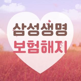 삼성생명 보험해지, 직접 겪어보고 깨달은 눈물겨운 손실 방지 현실 꿀팁