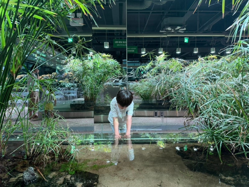일산 아이와 가볼만한곳 물고기 밥 주기와 닥터피쉬가 있는 (구)아쿠아가든 일산 (현)오렌지....