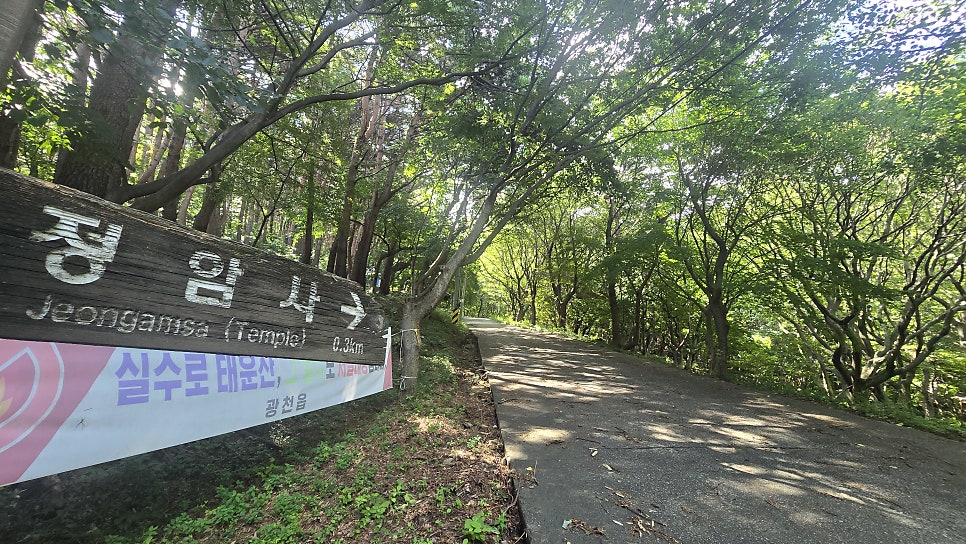 오서산 사진 2