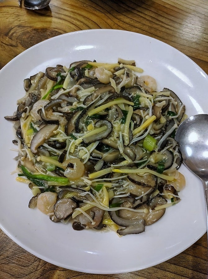 송하루 사진 6