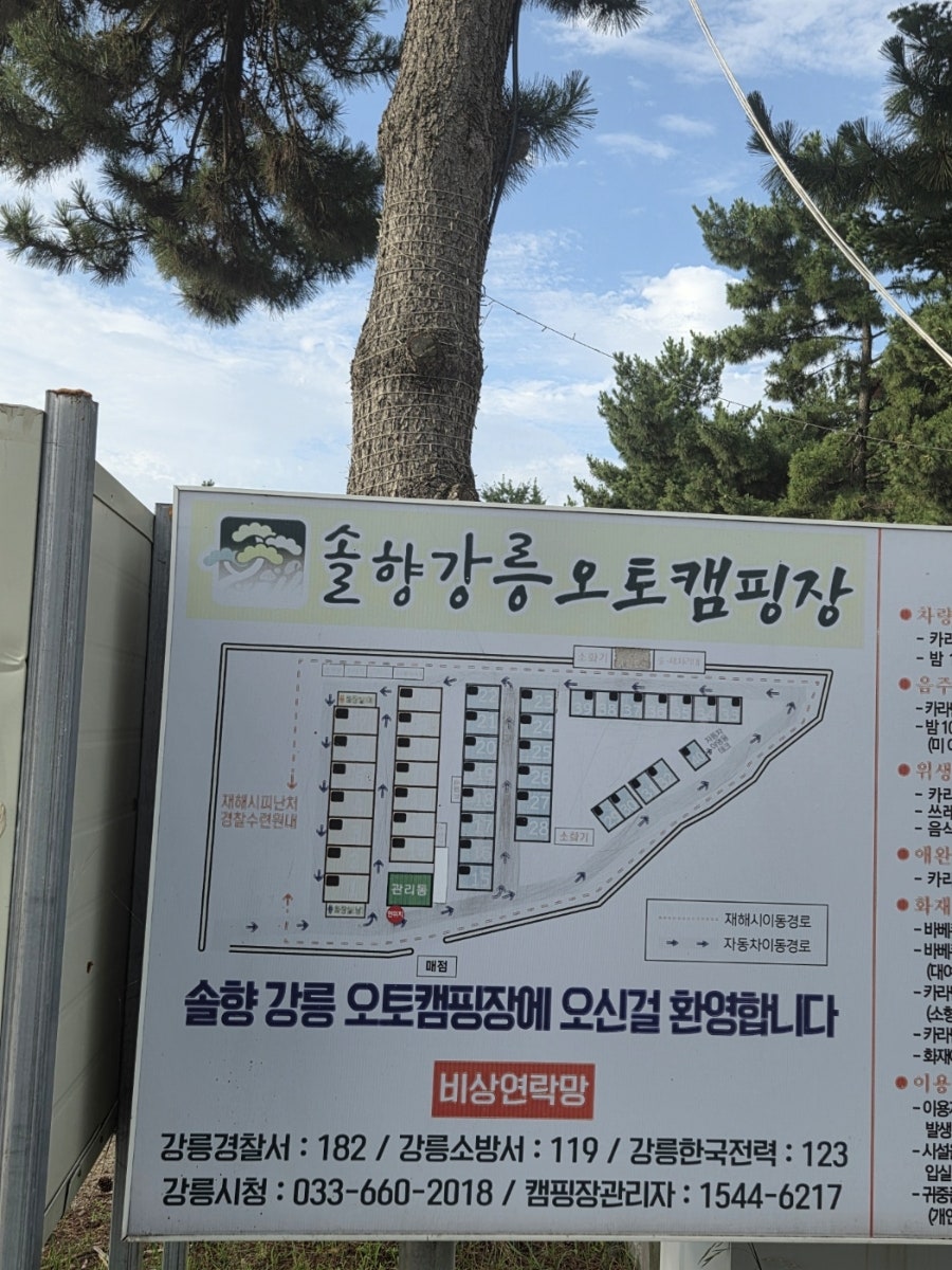 솔향강릉카라반캠핑장 사진 2