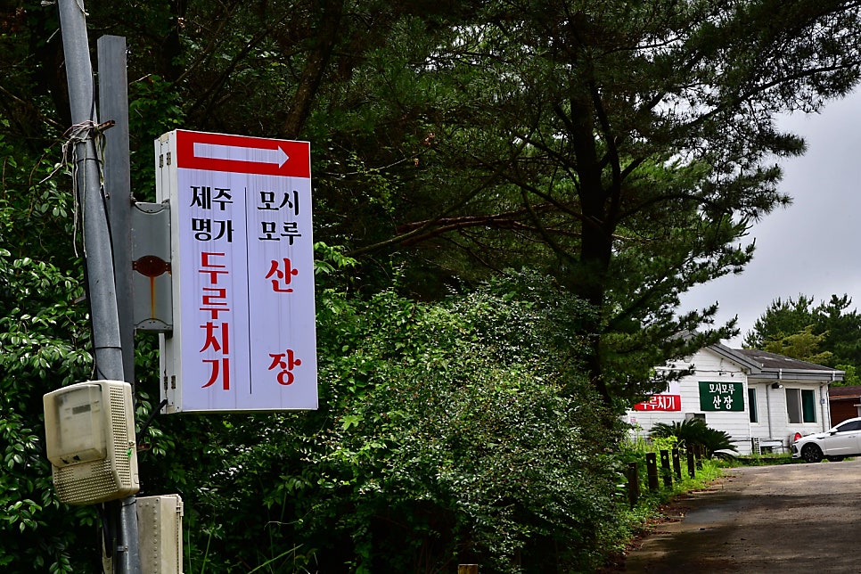 제주명가두루치기 사진 1