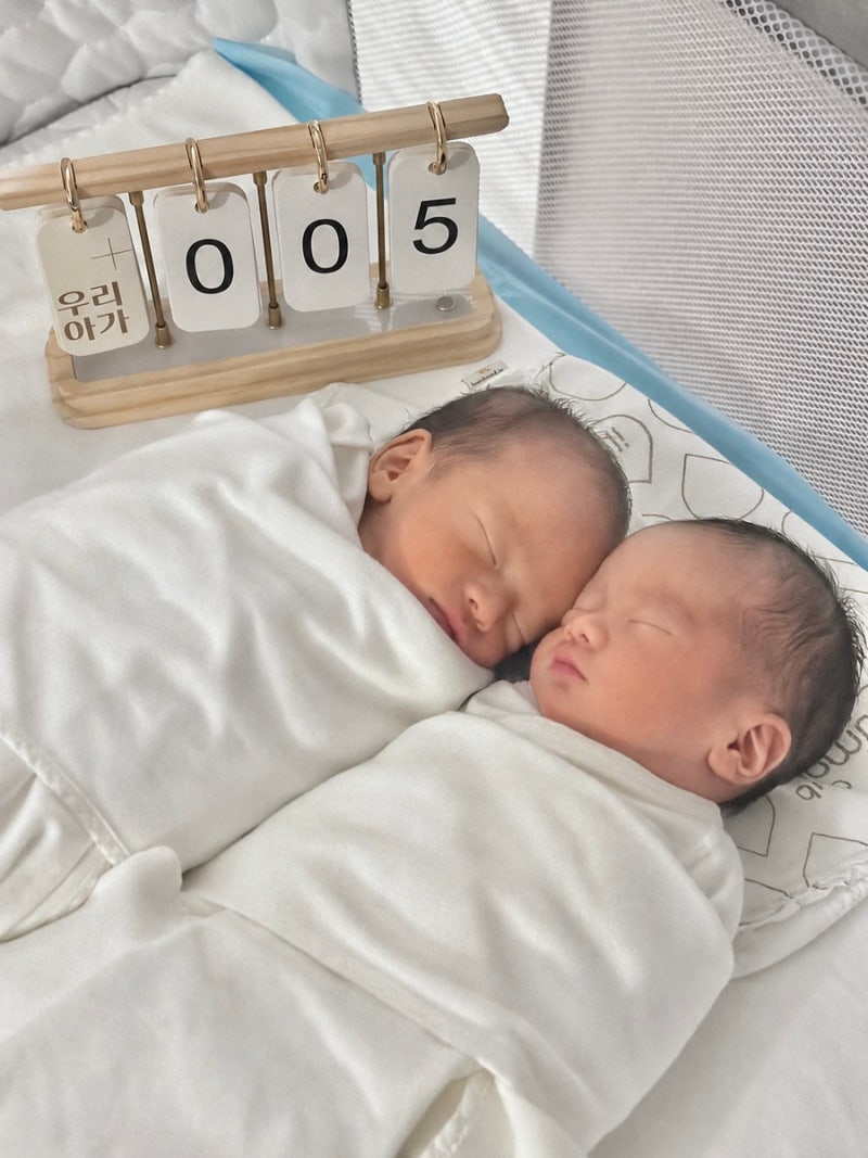 [임신 37주 4일] 서울아산병원 고지혜교수님 쌍둥이 제왕절개 출산 : 수술 당일 일정, 3박4일 ....