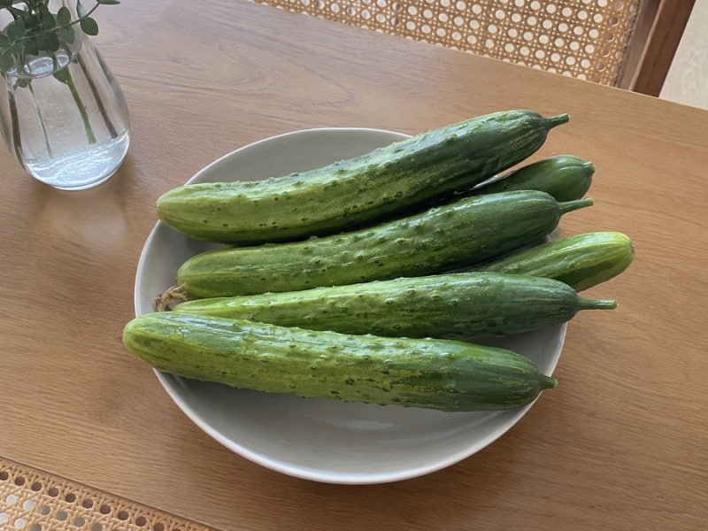 오이다이어트, 살 뺄 때 가장 많이 먹은 오이 레시피 3가지 (+오이효능)