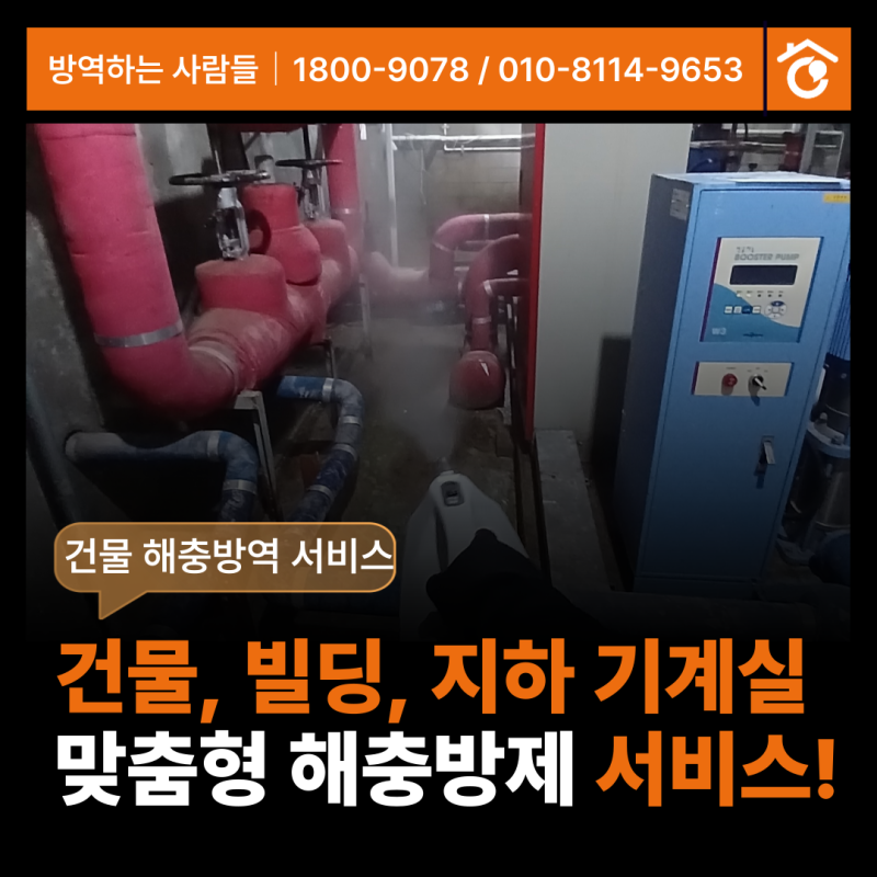 서울 마포구 서교동 건물 집수정 모기 나방파리 집게벌레 바퀴벌레 방역 서비스