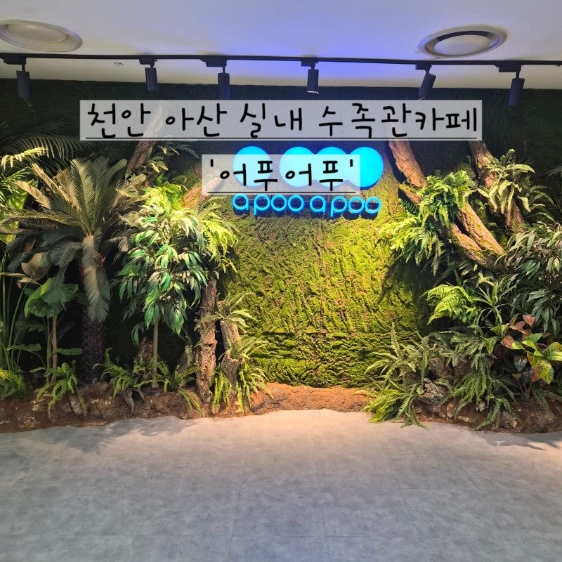 천안아산실내가볼만한곳 추천! 모다아울렛 어푸어푸 아이와 여름방학 나들이(+주차,입장료)