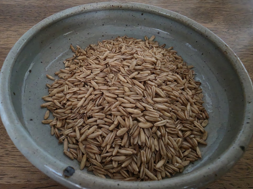 오트릿 사진 5