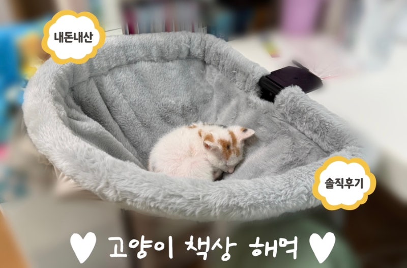 [고양이 책상 해먹] 내돈내산 / 솔직후기 / 고양이 해먹 추천 / 고양이 물건 / 설치 방법
