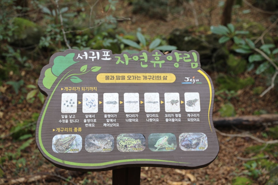 앙끄리에펜션 사진 1