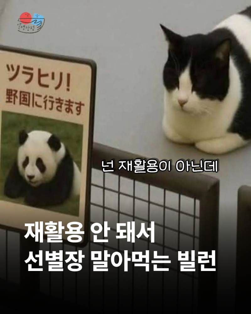 프린트 카트리지 수거! 재활용 대참사 일으키는, 재활용인 척 재활용 아닌 물건
