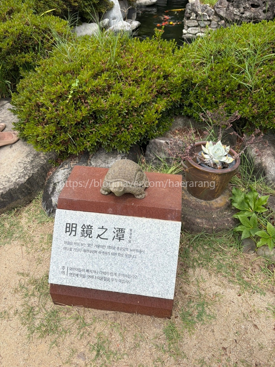 묘운 사진 2