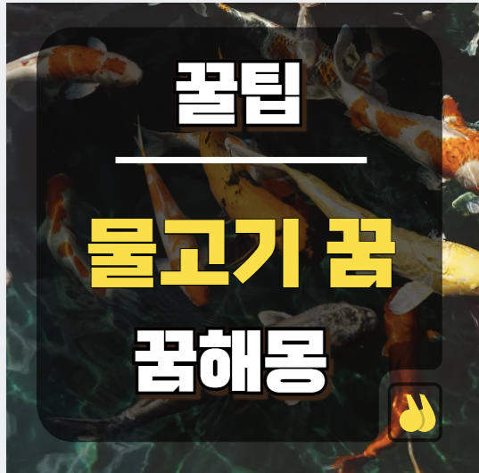 물고기잡는꿈 하나로 대박 운세와 횡재수 터지는 비결 공개!