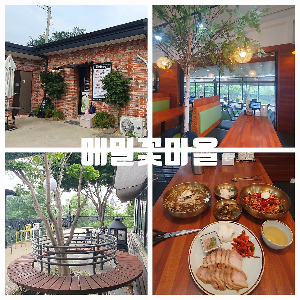 메밀꽃마을 사진 1
