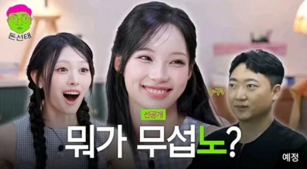 나비 사진 5