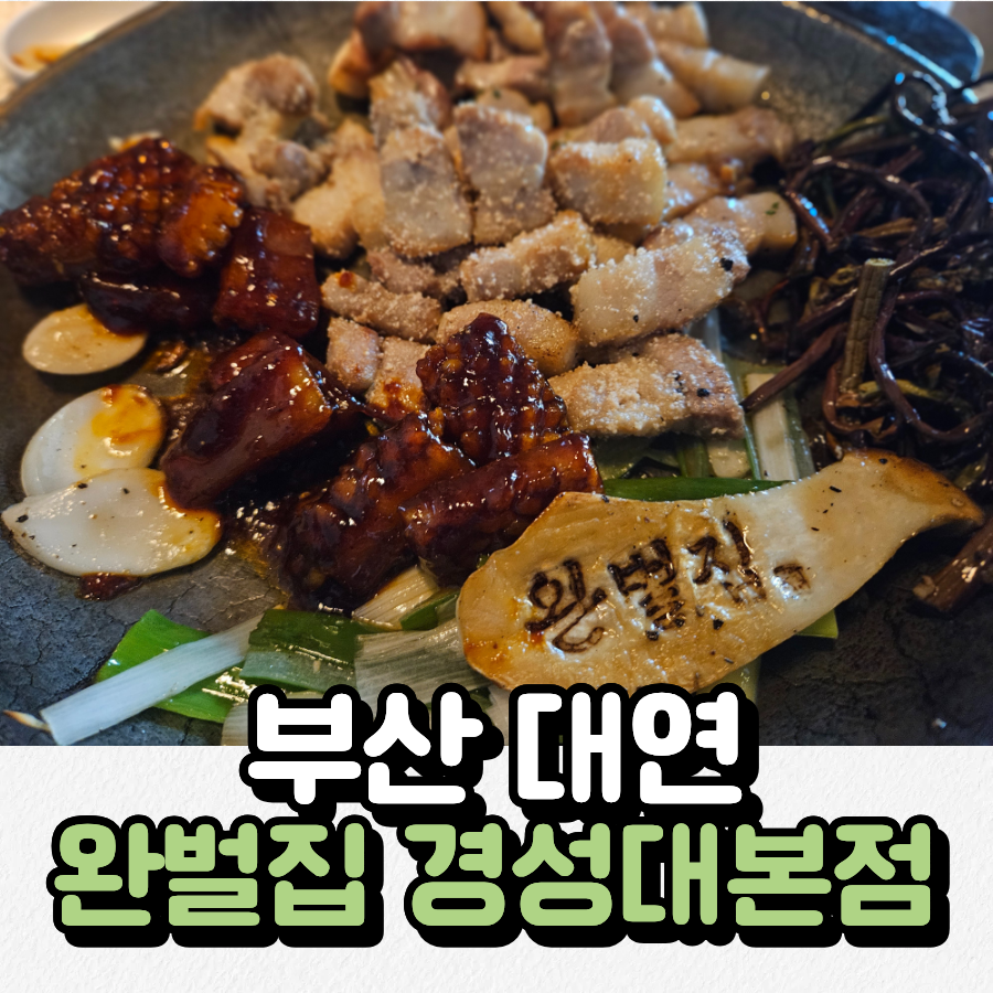 완벌집 사진 1