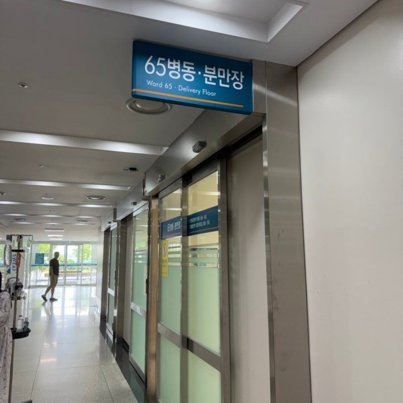 서울아산병원 고위험산모병동 입원 후기｜26주 단일양막쌍둥이 입원생활