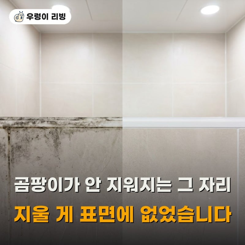 다이소 곰팡이제거제 젤, 3천원이라 기대 안 했는데 하루 뒤 실리콘이 달라졌어요