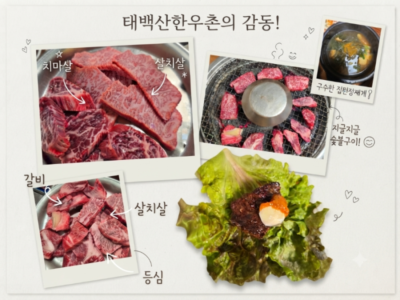 [태백맛집] 산지 가격 그대로! 태백산한우촌 모둠부터 특수부위 된장찌개까지 완벽 후기
