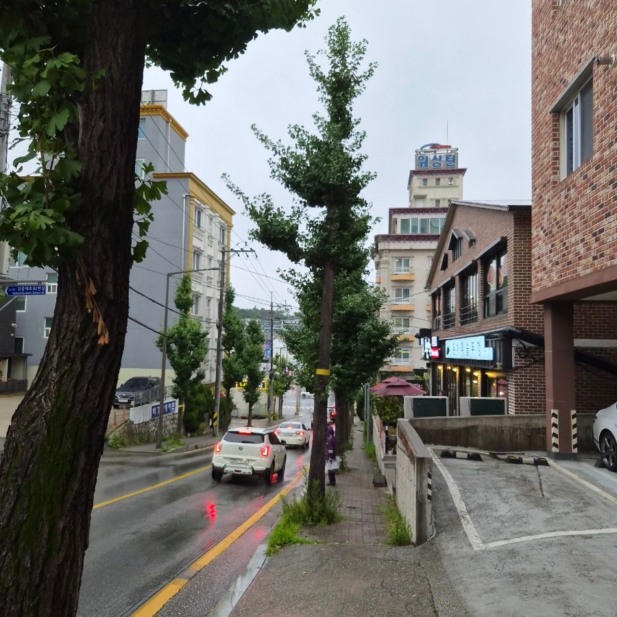 오븐마루치킨 강릉입암점 사진 4