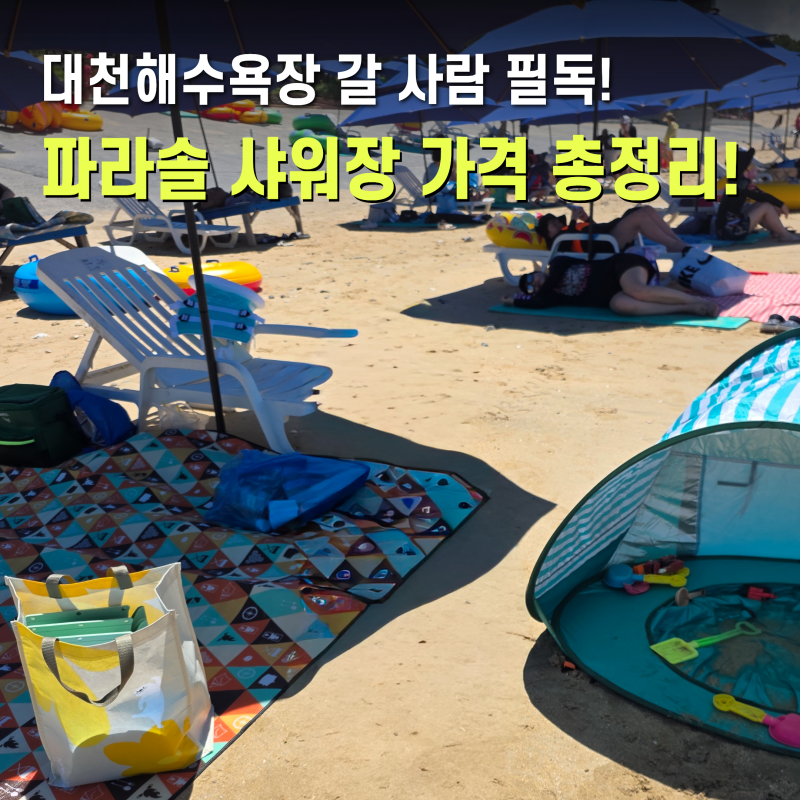 대천해수욕장 개장기간 파라솔 샤워장 서해바다 충청도여행