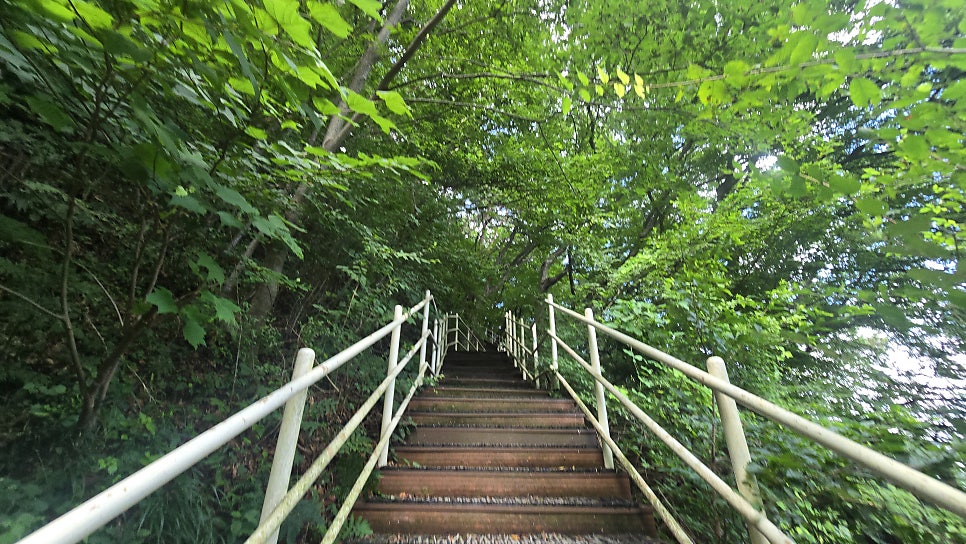 오서산 사진 6
