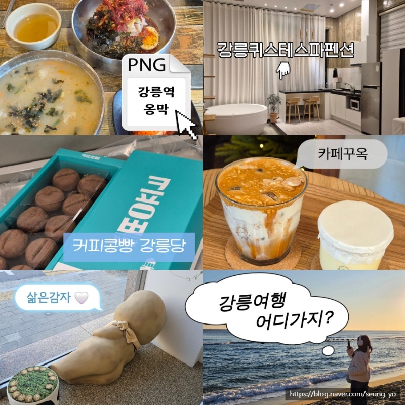 강릉뚜벅이여행코스 2박3일 2편 맛집카페숙소 (오드붕어 9남매두부집 카페꾸옥 강릉퀴스테스....