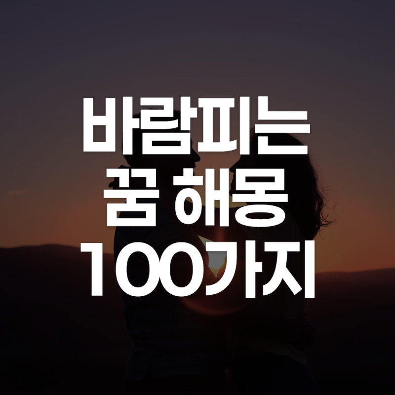 바람피는 꿈 해몽 100가지 내가 바람피는 꿈 외도를 목격하는 꿈 바람피고 후회하는 꿈