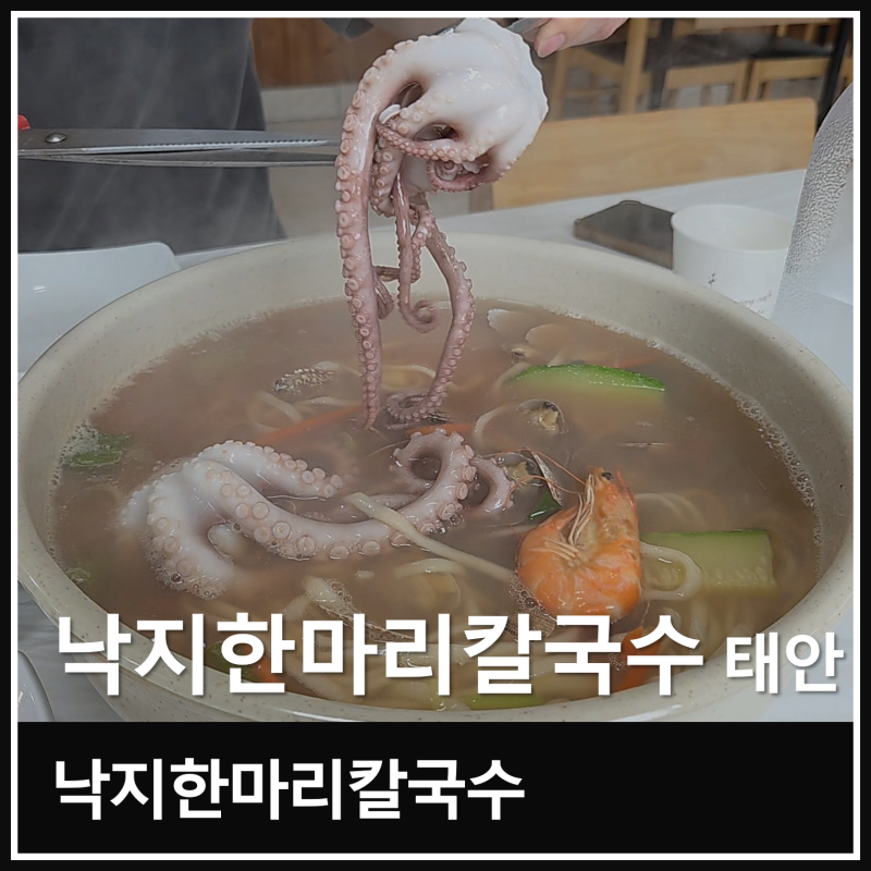 충남 태안 낙지한마리칼국수 탱글한 낙지와 시원한 국물 해물칼국수 후기