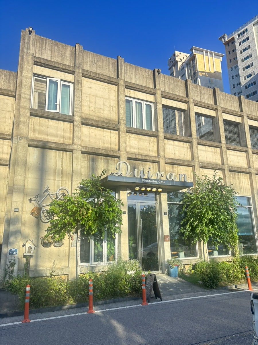 뒤란 사진 2