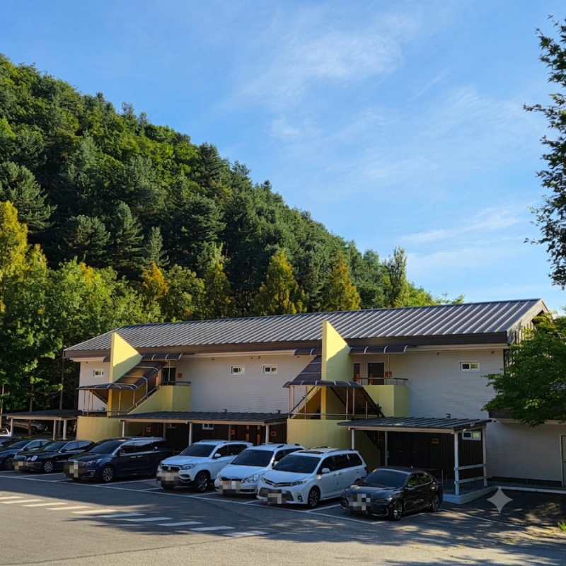 충북 음성 가족여행 수영장 휴양림 백야자연휴양림 복합산맥 이용 후기