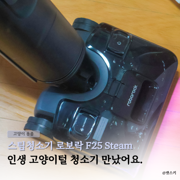 스팀청소기 로보락 F25 Steam | 인생 고양이털 청소기 만났어요.
