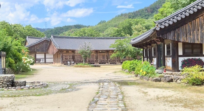 경주 천년고찰 [기림사]ㅣ 숲길 따라 걷는 사찰 여행