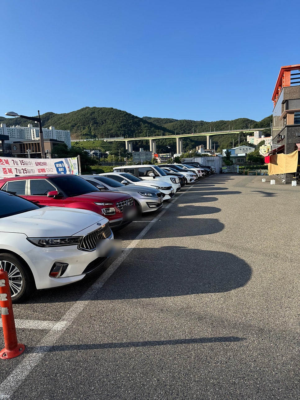 백세상황버섯삼계탕 사진 4