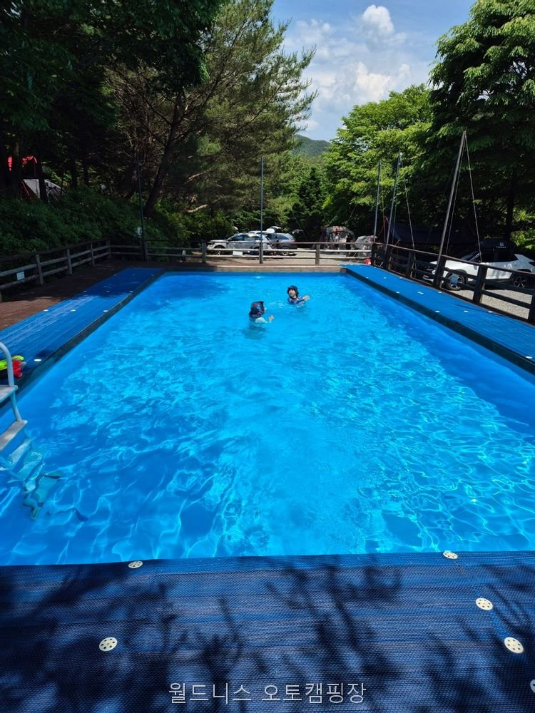 월드니스오토캠핑장 사진 3