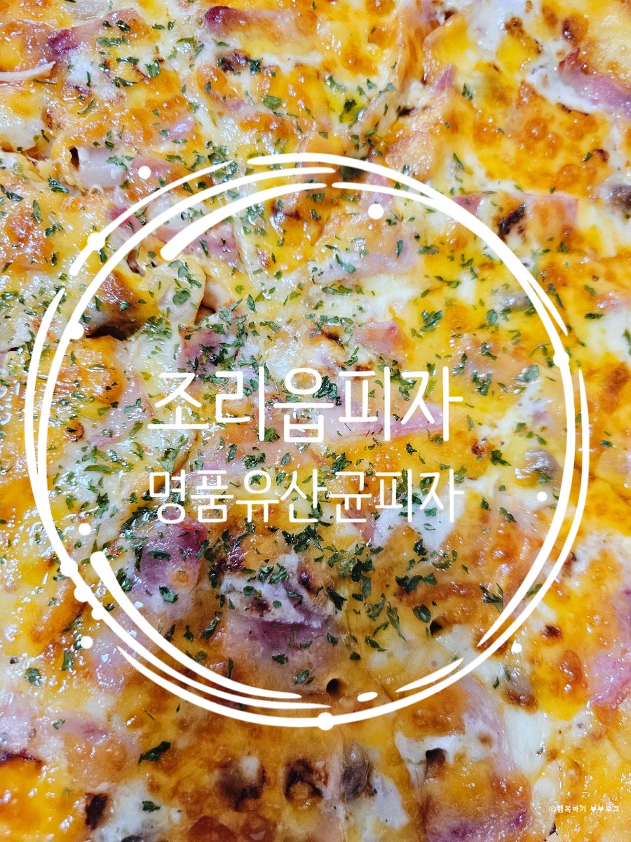 명품유산균피자 사진 1