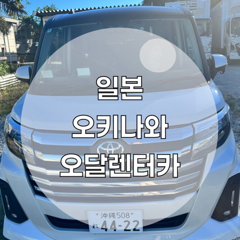 오키나와 여행 오키나와 렌트카 예약 완전 정복 오달 렌터카 팁과 일본 운전 주의사항 총정....