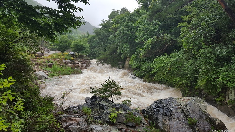 오도산황토펜션 사진 5